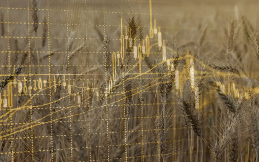Commodity Trading vs Stock Trading: What’s the Difference?